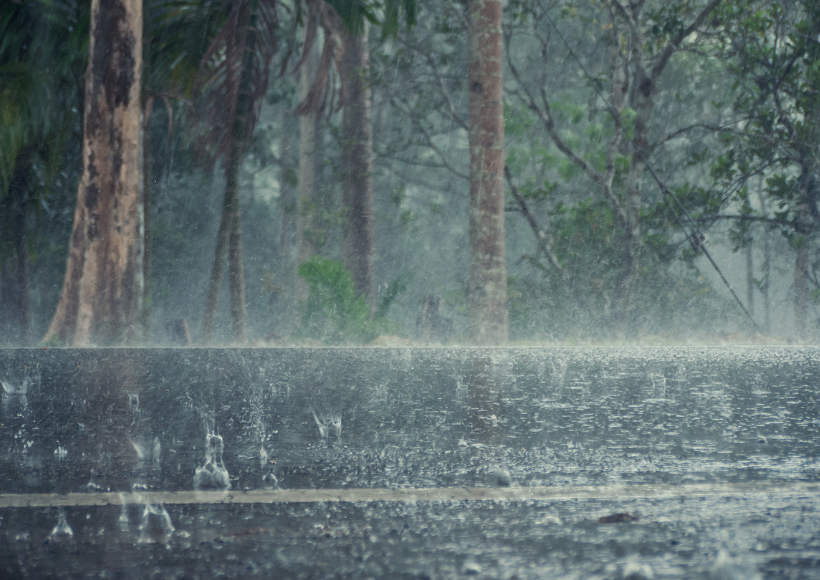 AP Rains