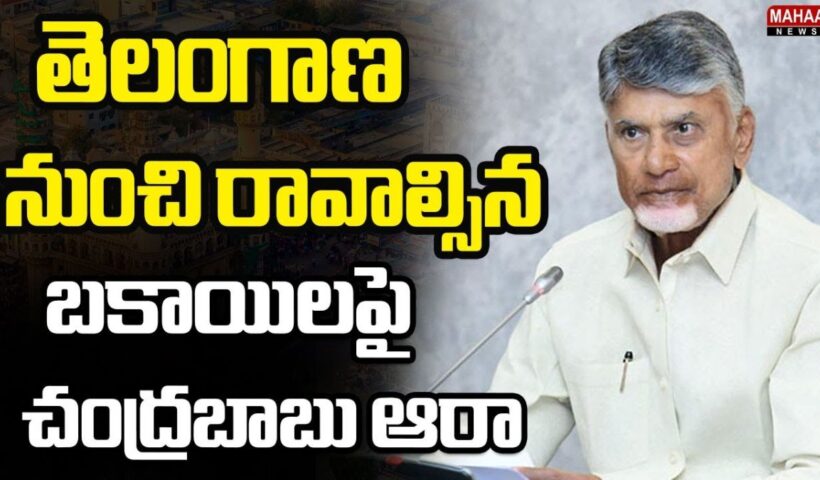 Chandrababu Naidu