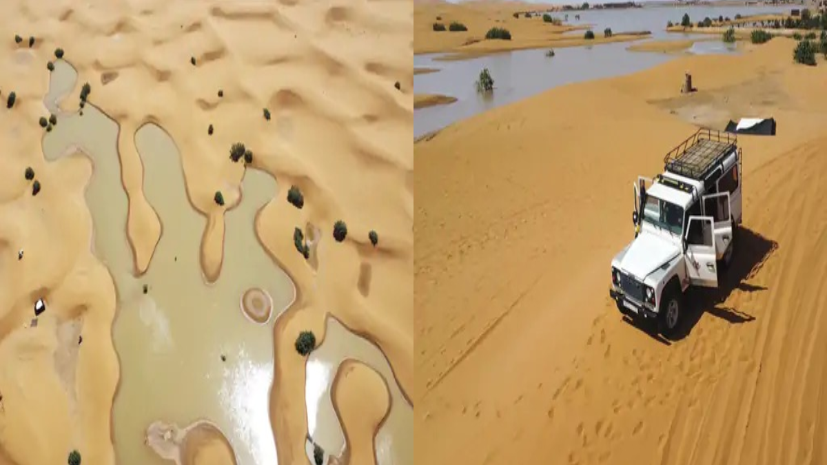Sahara Desert