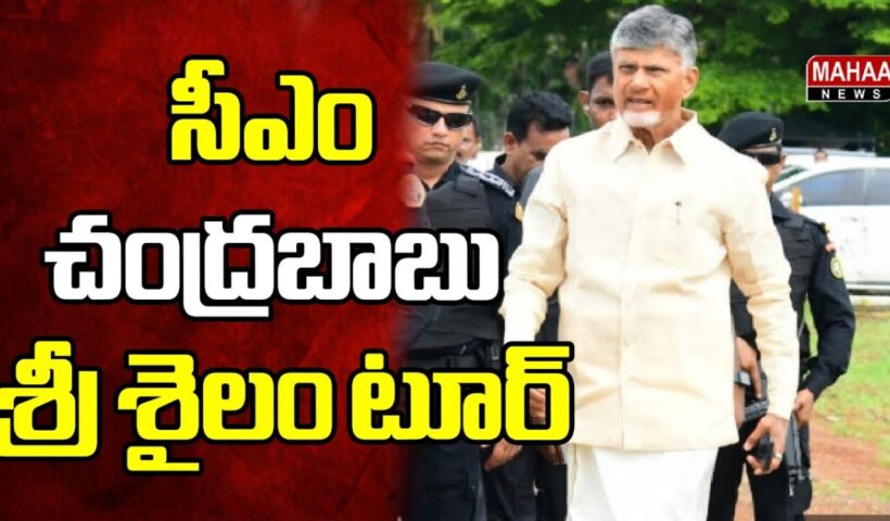 Chandrababu Naidu