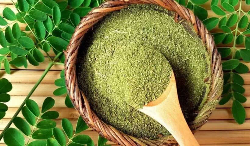 Moringa Leaves Benefits