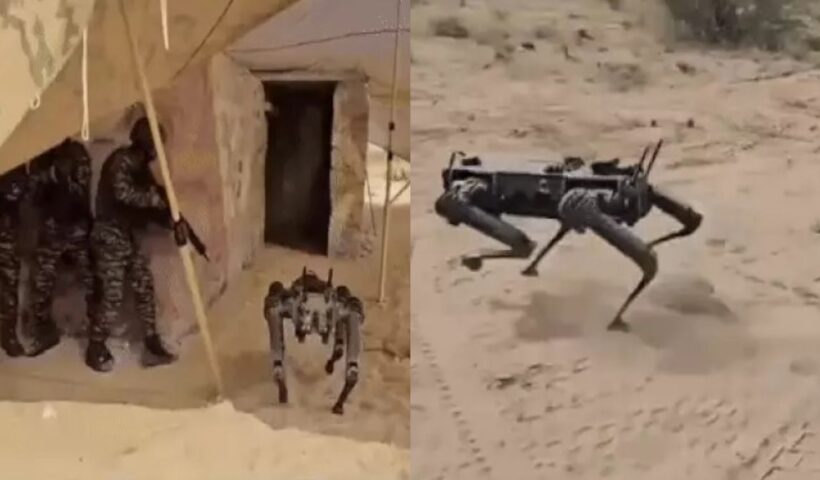 Robotic Mules