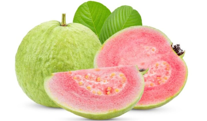 Seebe Fruit