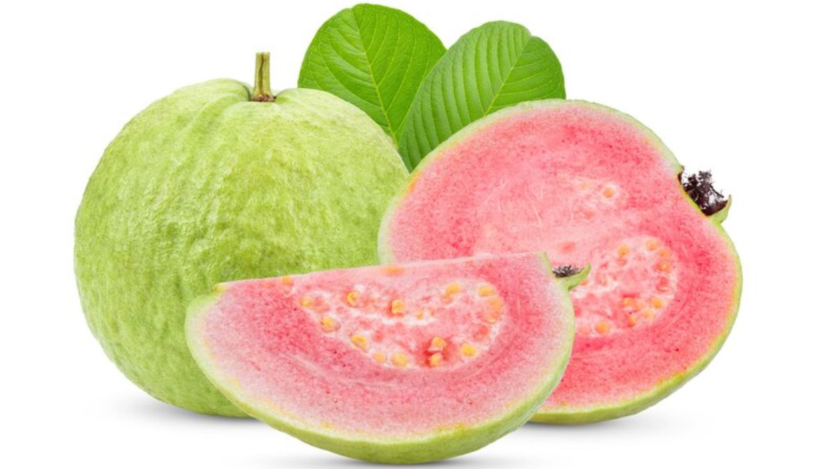 Seebe Fruit
