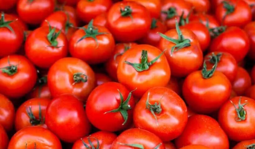 Tomato Benefits