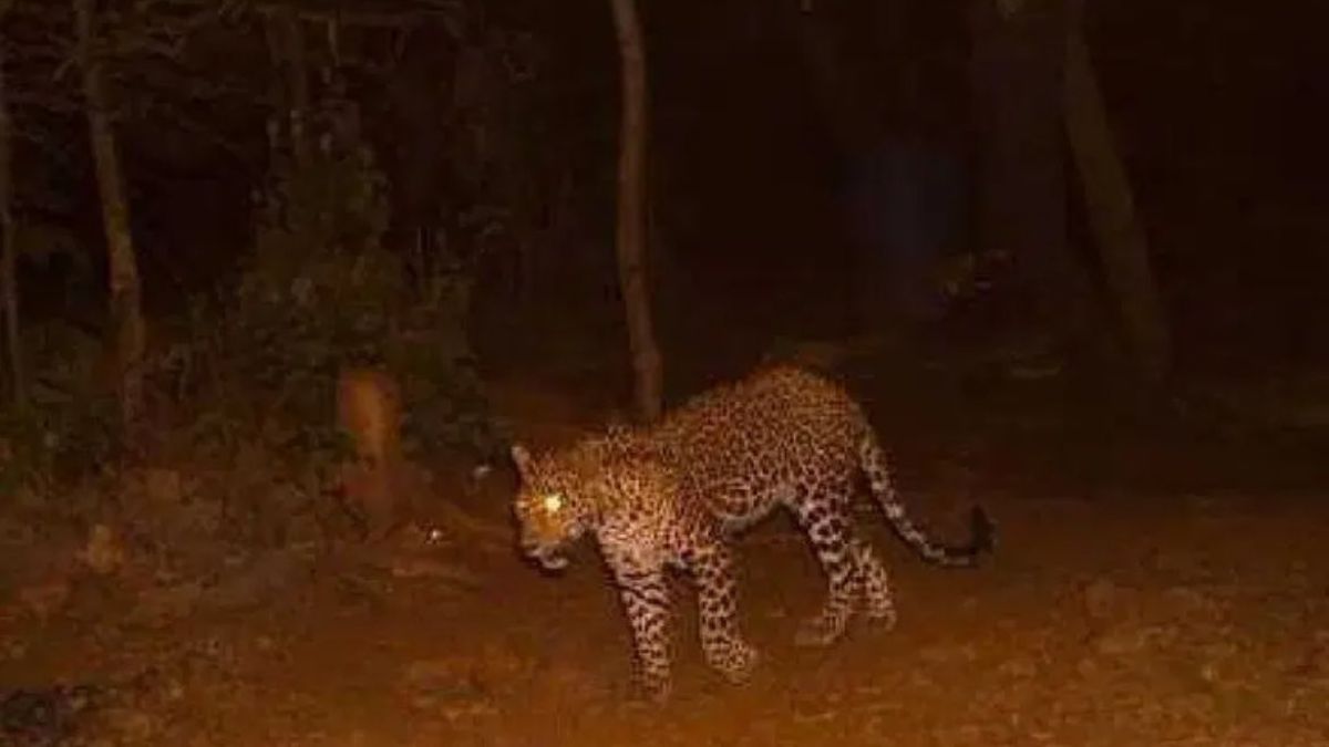 Kumuram Bheem Asifabad: