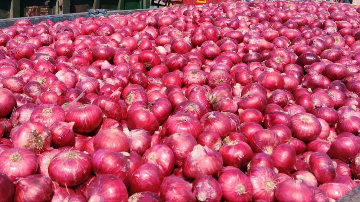 onion