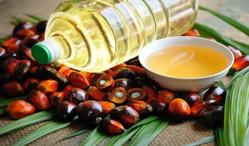 palm oil