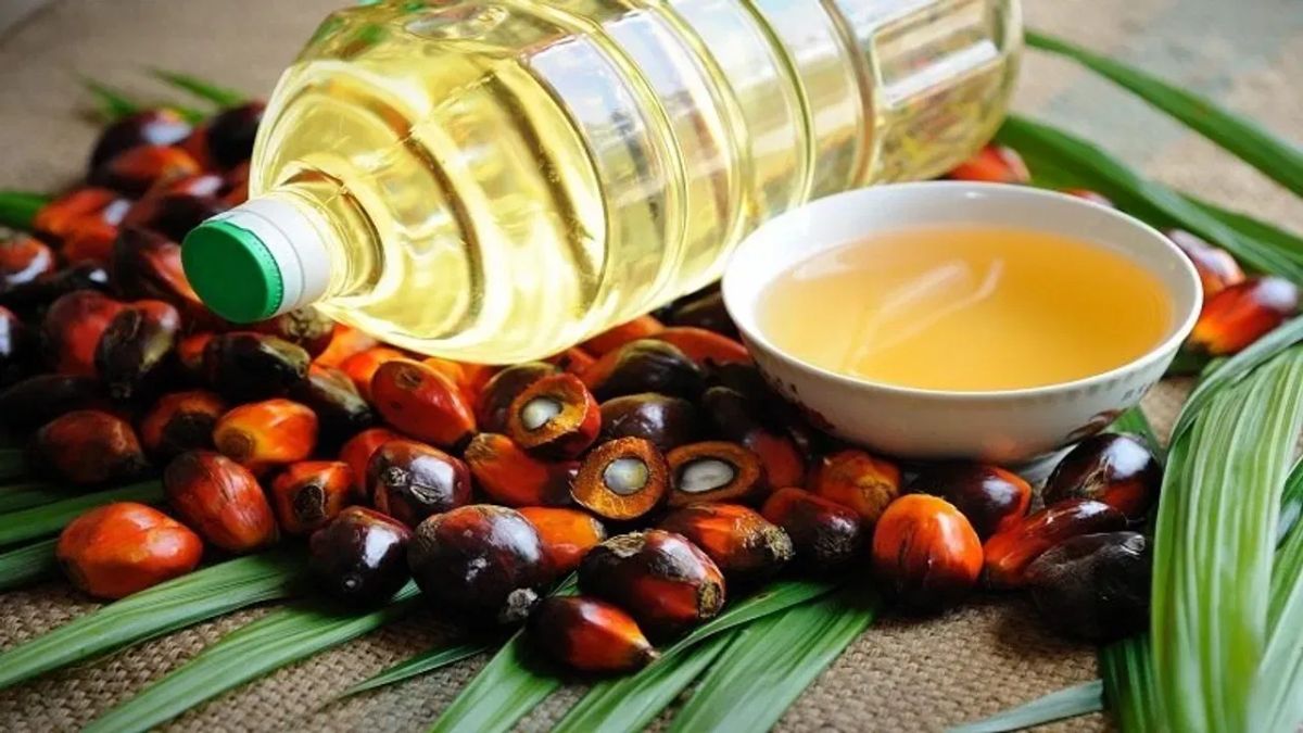 palm oil