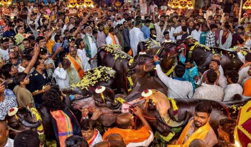 sardar festival