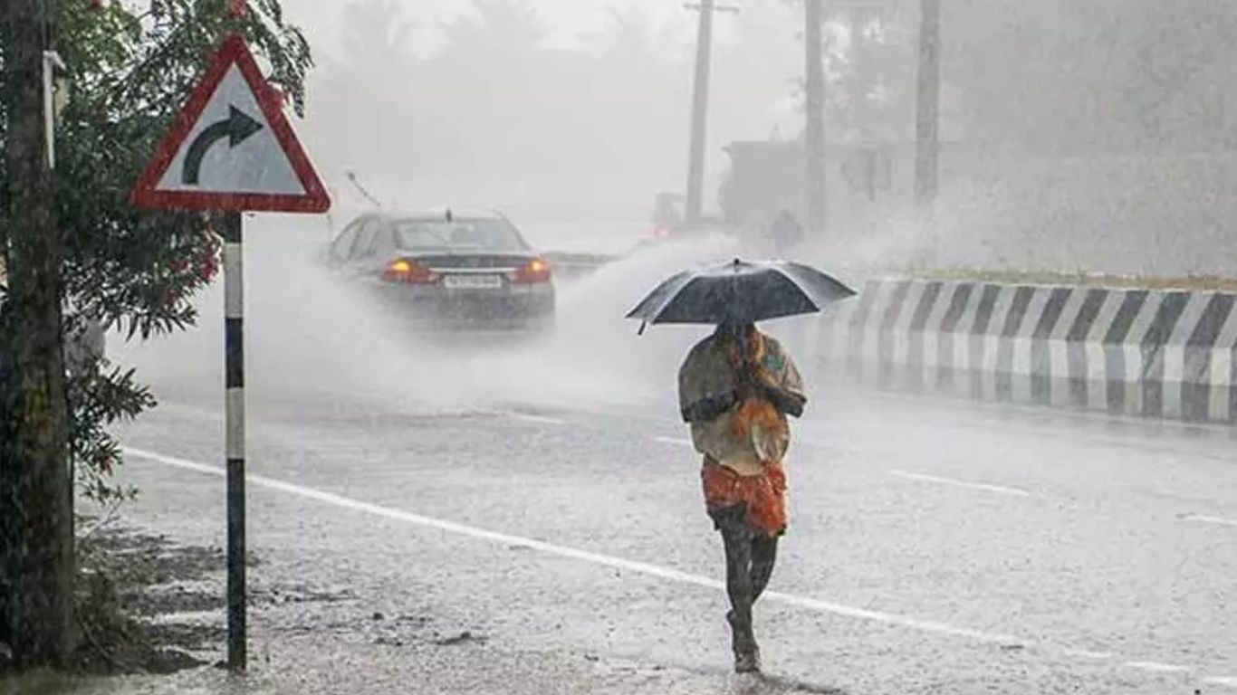 AP Weather Report