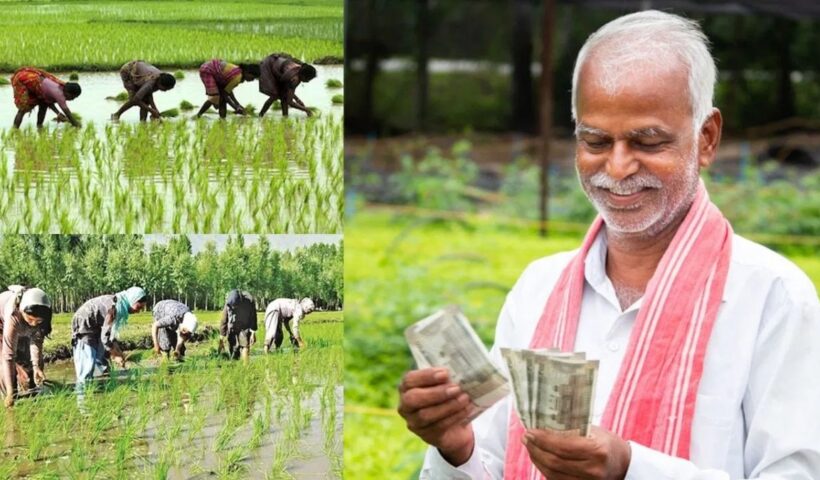 CGS for Farmers