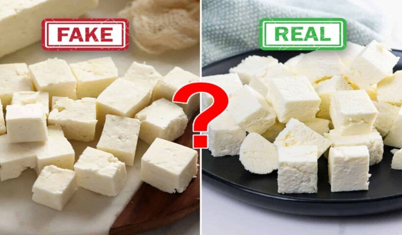 Fake Paneer