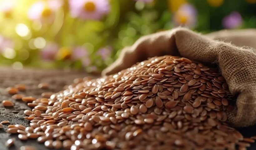 Flaxseeds