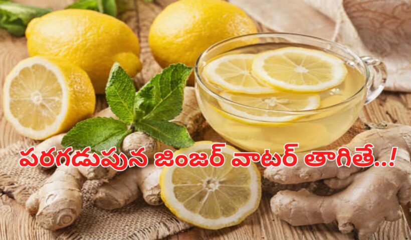 Ginger Water Benefits