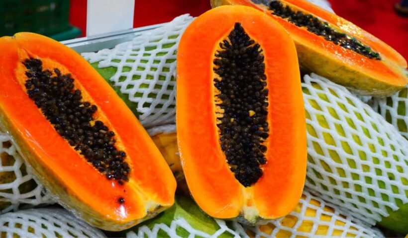 Papaya Benefits
