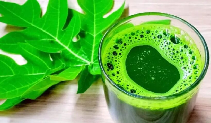 Papaya Leaf Juice Benefits