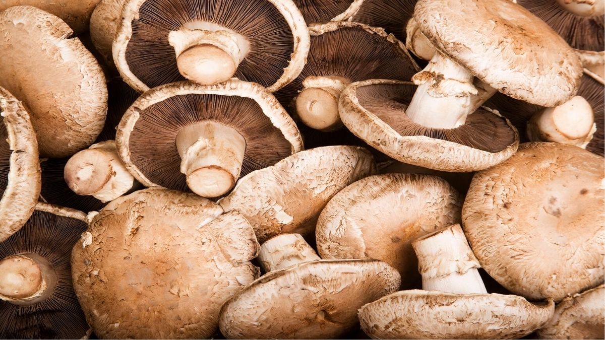 mushrooms