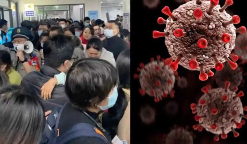 China New Virus