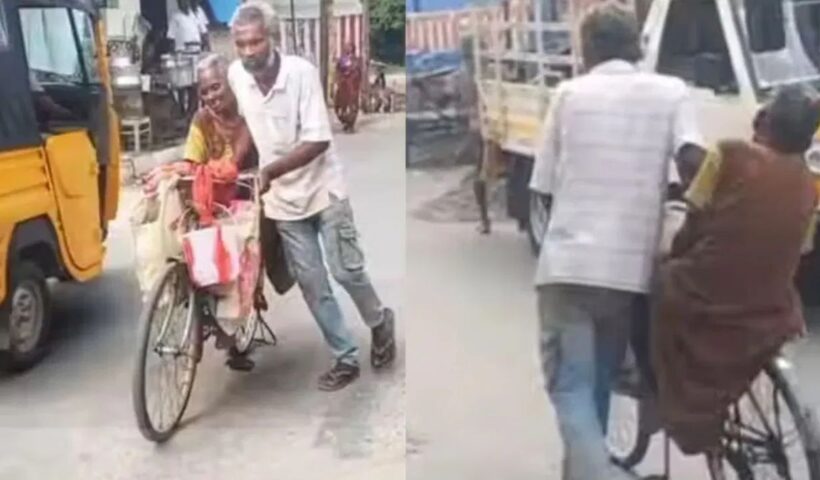 Dead Body On Bicycle
