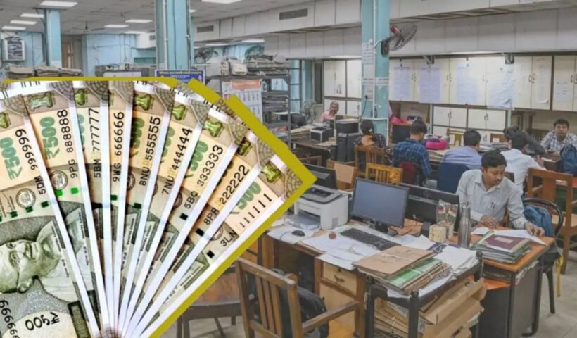 Government Employees