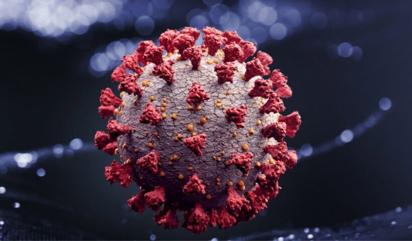 HMPV Virus