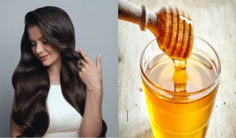 Honey For Hair