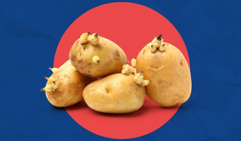 How to Store Potatoes