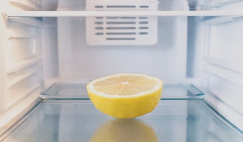 Lemon in Fridge
