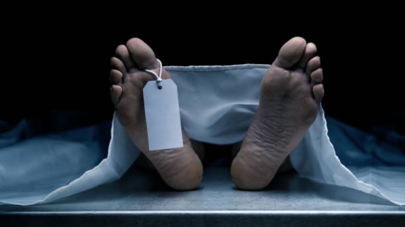 Mystery Dead Bodies