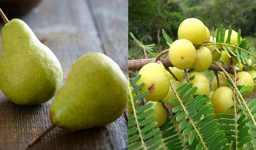 Pear vs Amla