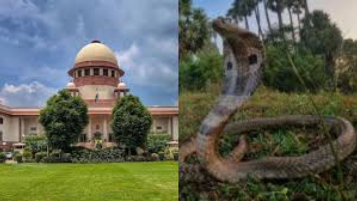 Supreme Court: