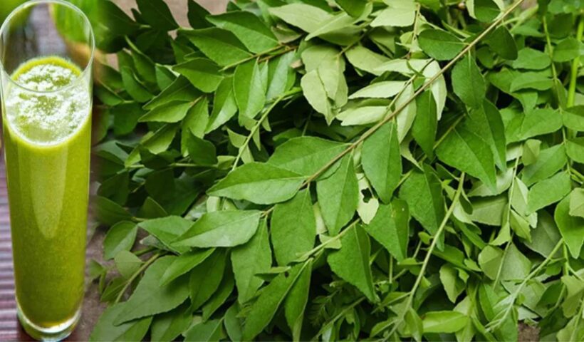 Curry Leaves for Cholesterol