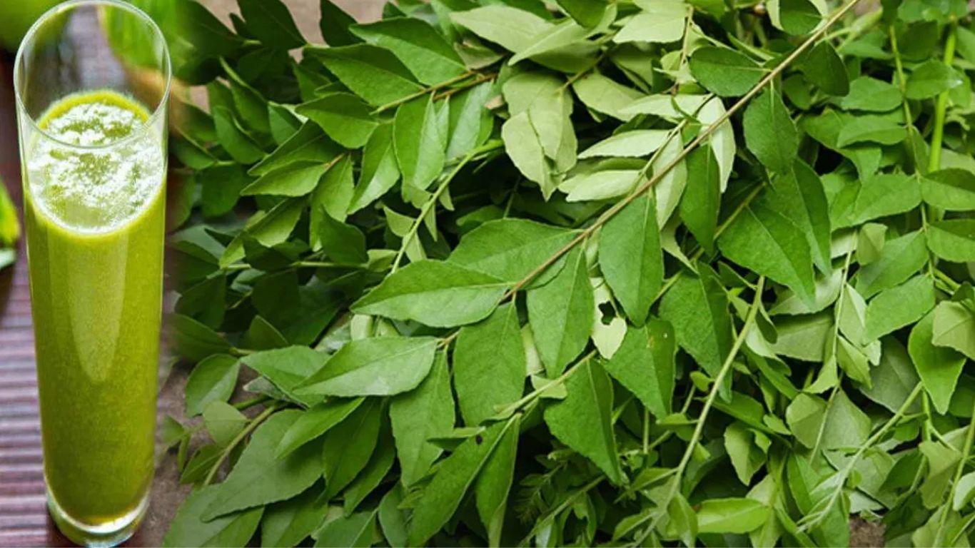 Curry Leaves for Cholesterol