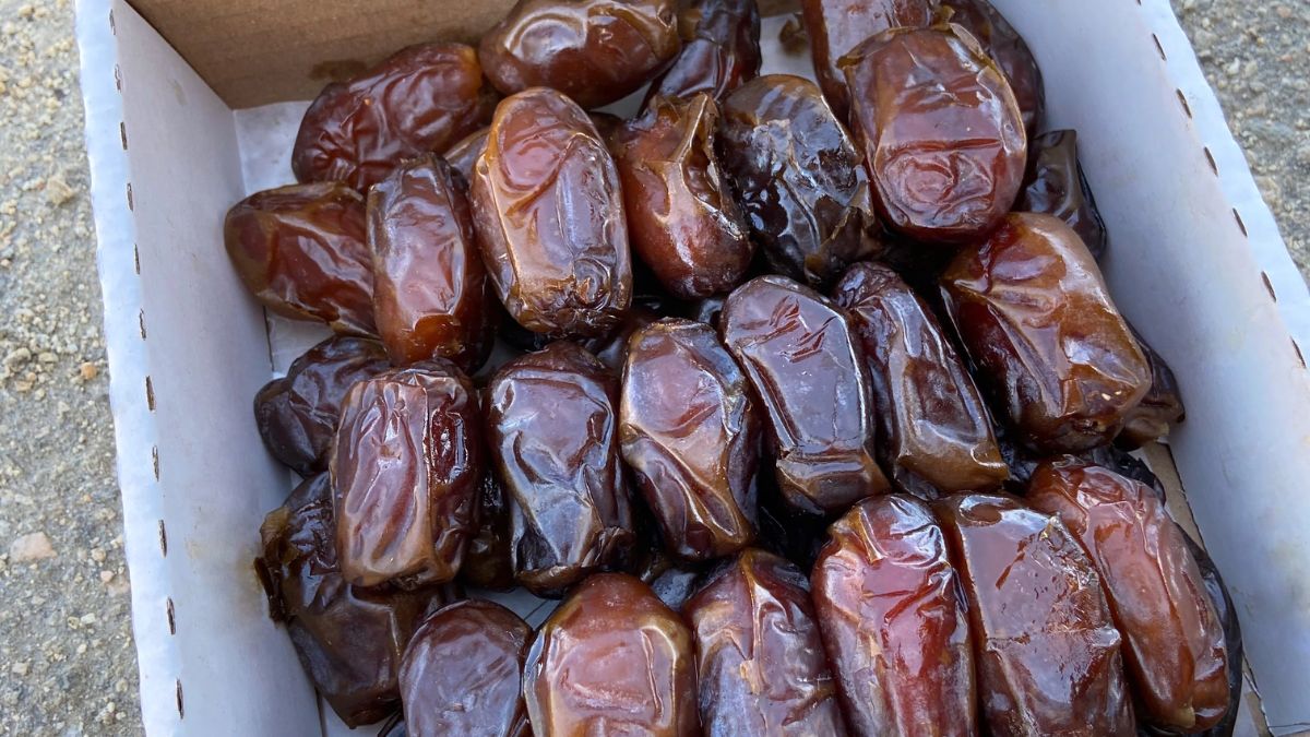 Dates Box