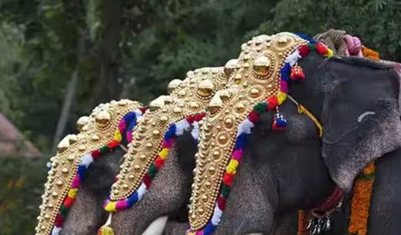 Elephants In Religious Festivals