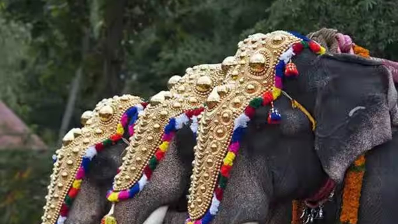 Elephants In Religious Festivals