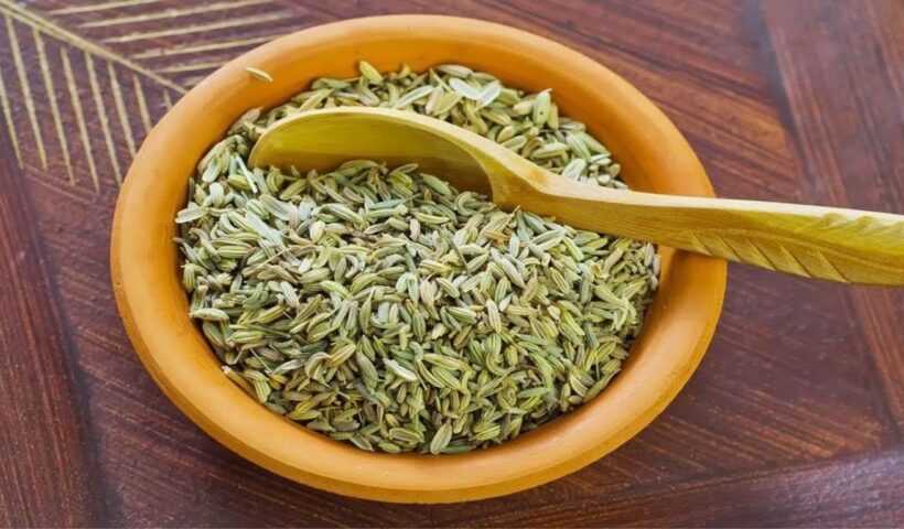 Fennel Seeds