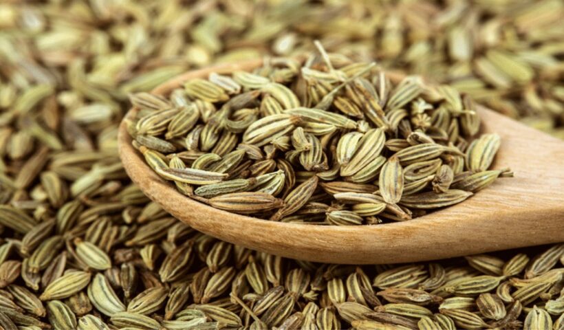Fennel Seeds