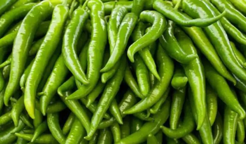 Green Chilies