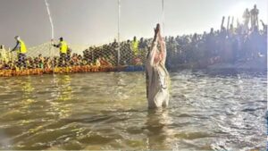 MahaKumbh (1)