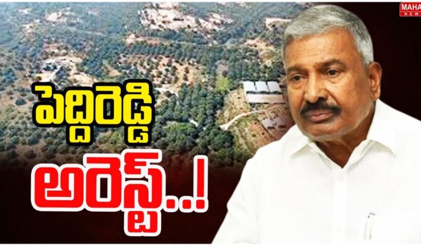Peddireddy