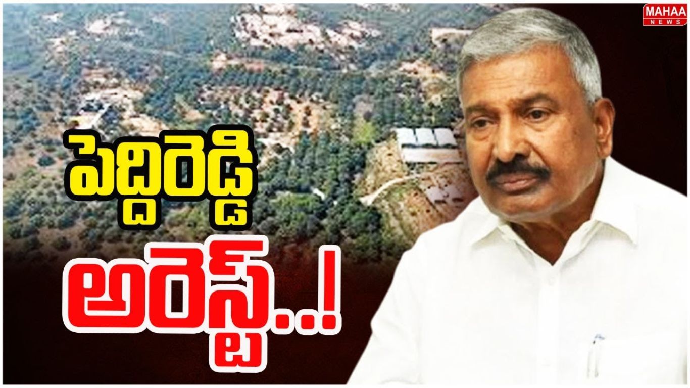 Peddireddy