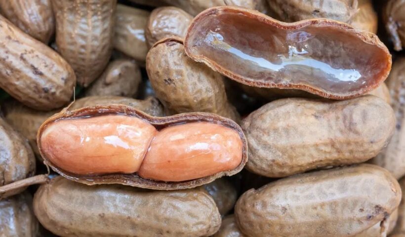 Soaked Peanuts Benefits