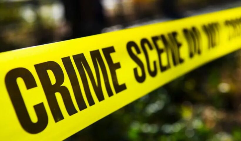 Crime News