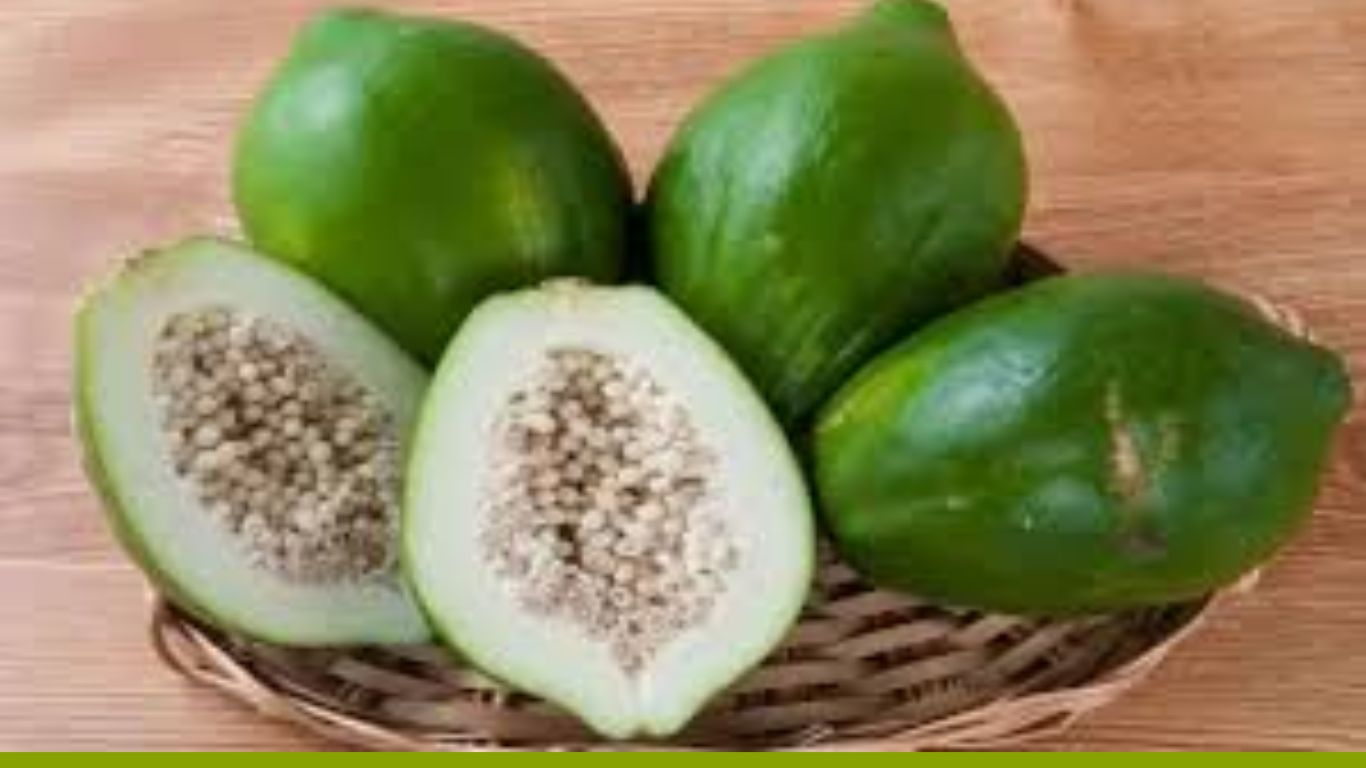 Raw Papaya Benefits