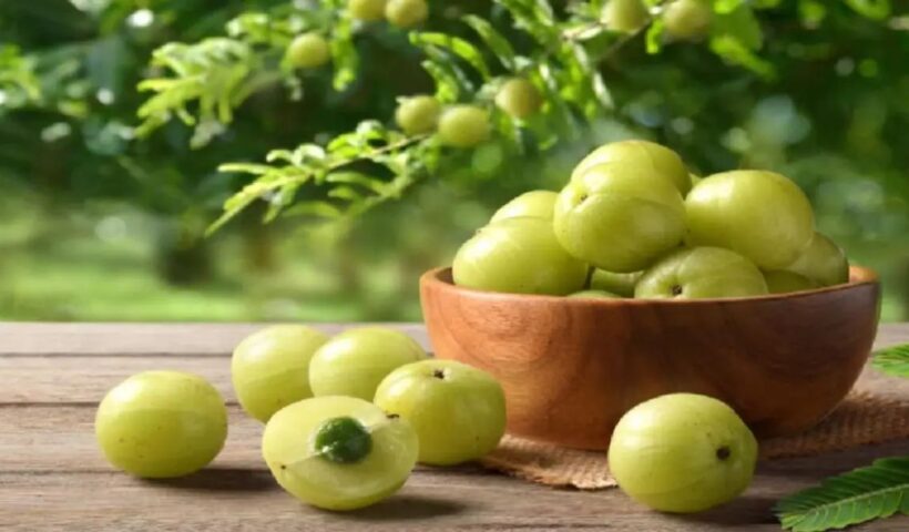 Amla Benefits