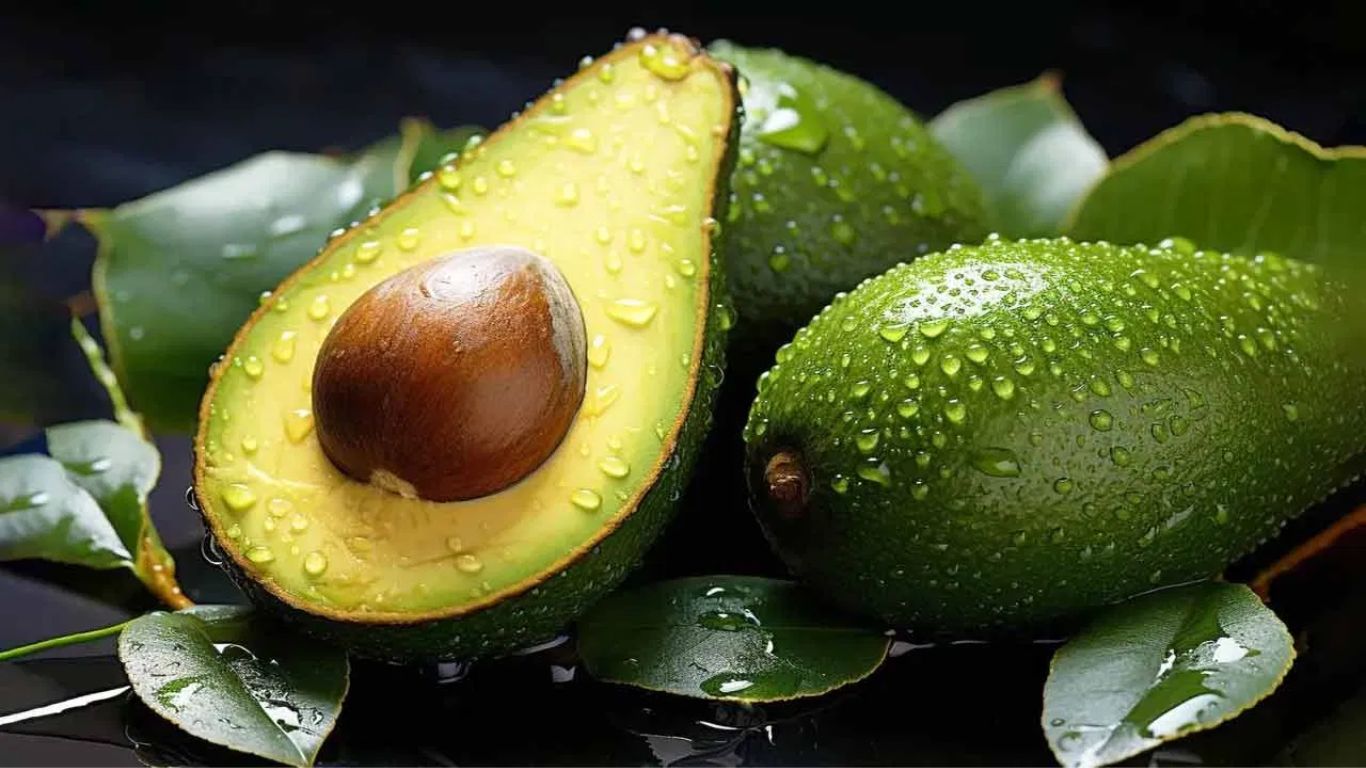Avocado