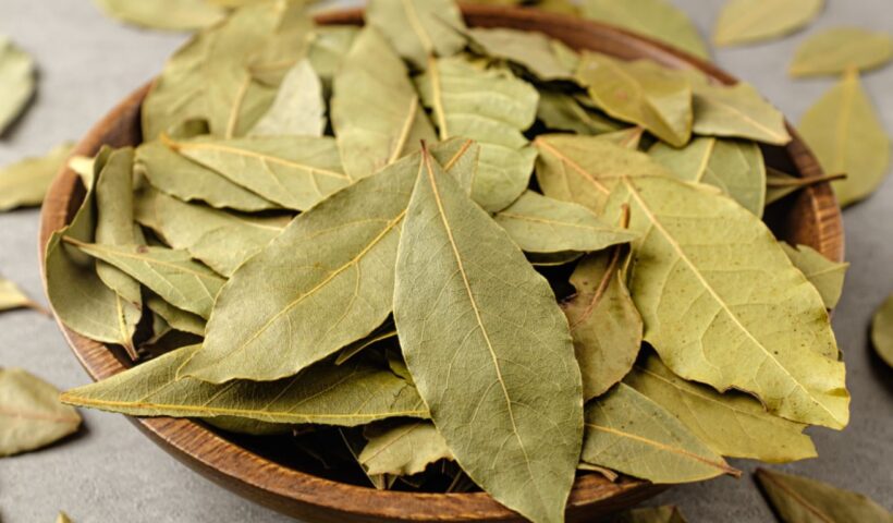 Bay Leaf Benefits