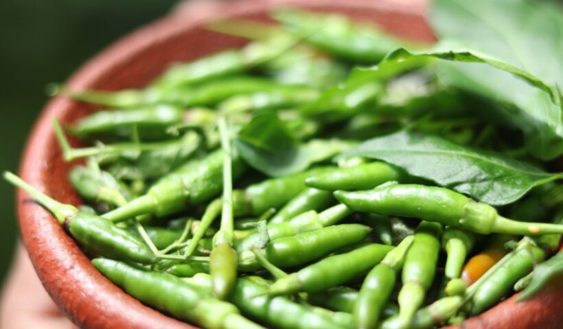 Green Chilli Benefits